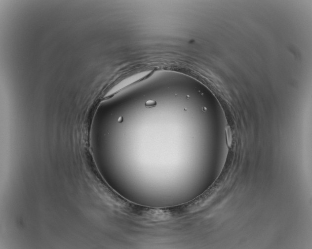 X0000111190421200907081300