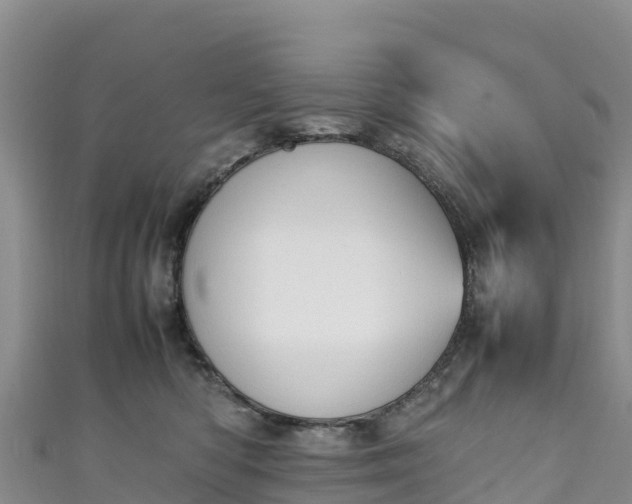 X0000111190422200907081300