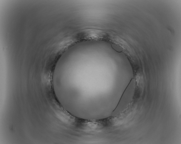 X0000111190423200907081300