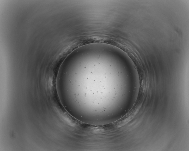 X0000111190424200907081300