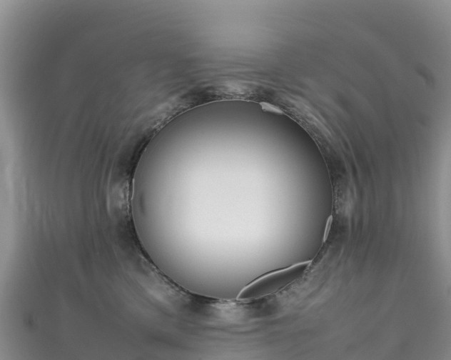 X0000111190425200907081300