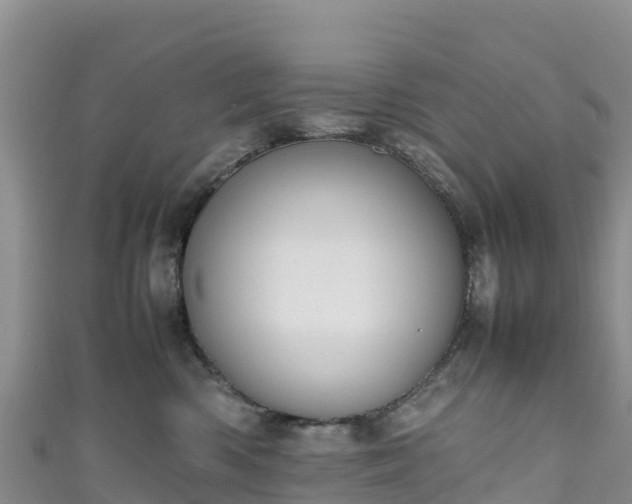 X0000111190426200907081300