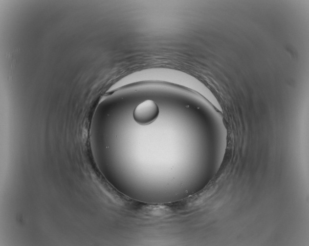 X0000111190427200907081300