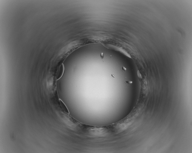 X0000111190428200907081300