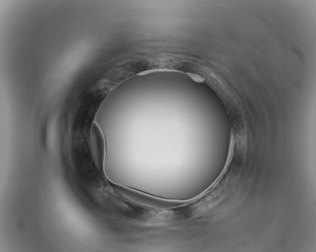 X0000111190429200907081300