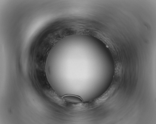 X0000111190430200907081300