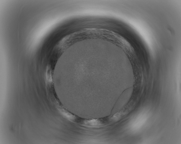 X0000111190431200907081300