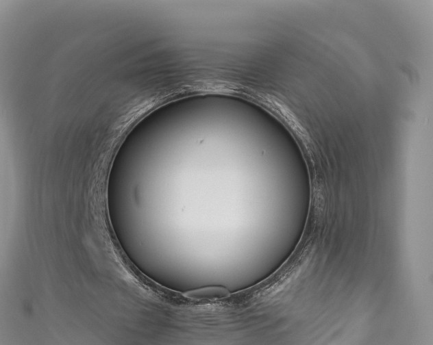 X0000111190433200907081259