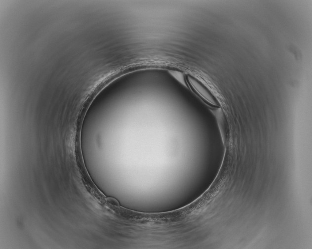 X0000111190434200907081259