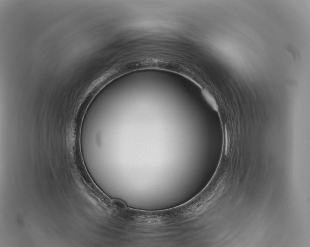 X0000111190435200907081259