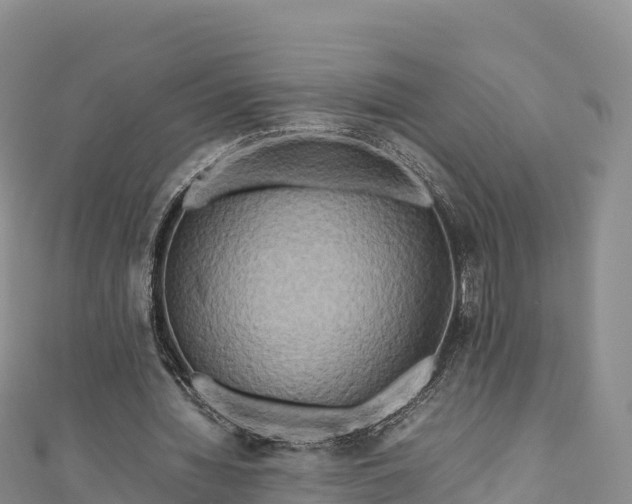 X0000111190436200907081259