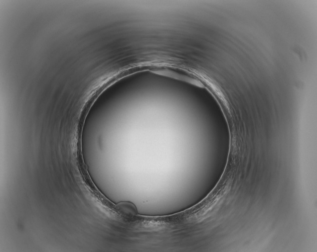 X0000111190437200907081259