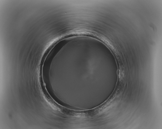 X0000111190438200907081259