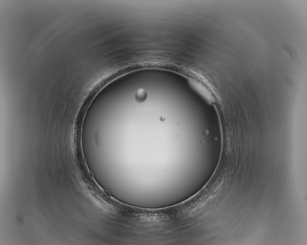 X0000111190439200907081259