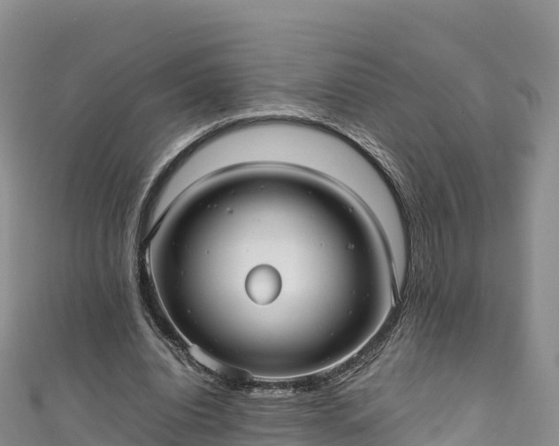 X0000111190440200907081259