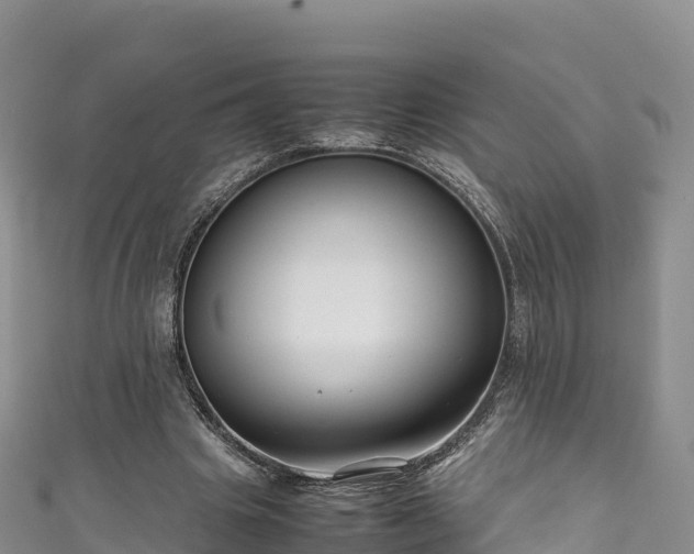 X0000111190441200907081259