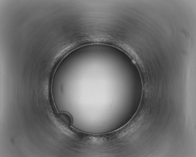 X0000111190442200907081259