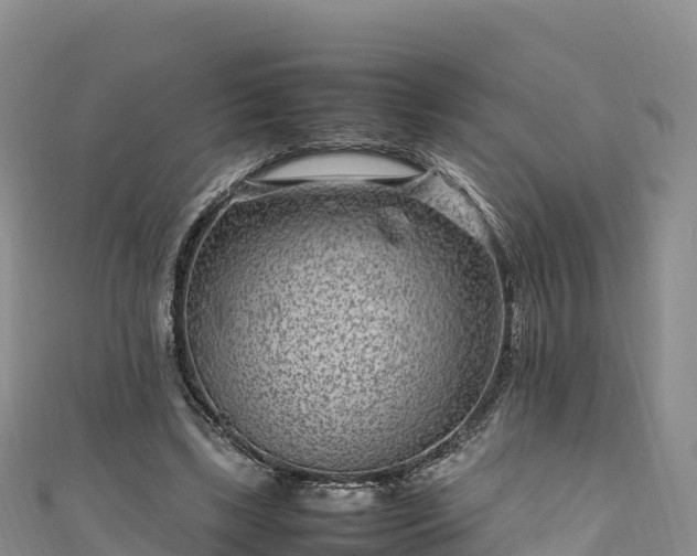 X0000111190443200907081259