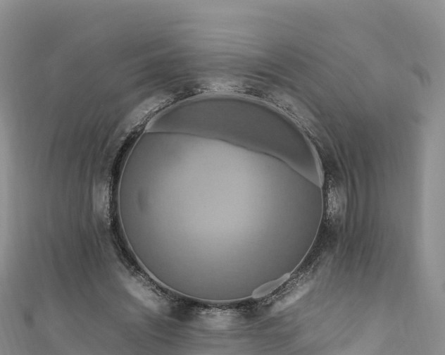 X0000111190444200907081259