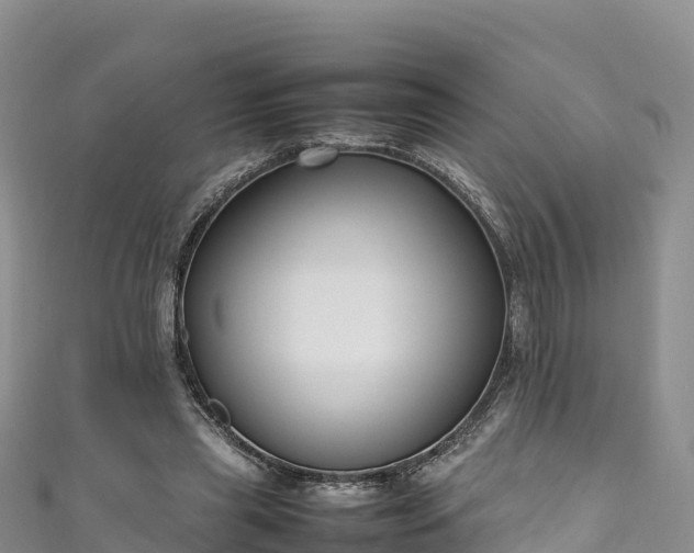 X0000111190445200907081259