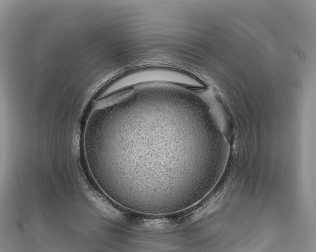 X0000111190446200907081259