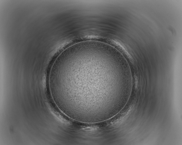 X0000111190447200907081259