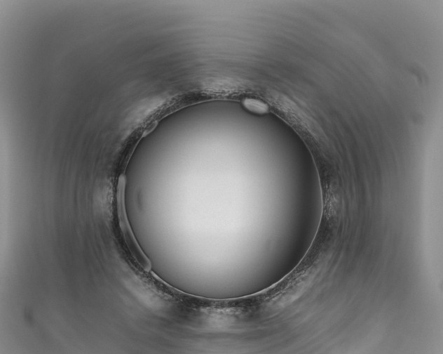 X0000111190448200907081259