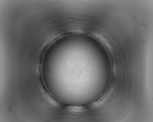 X0000111190449200907081259