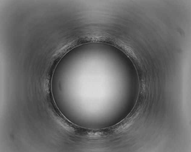 X0000111190450200907081259