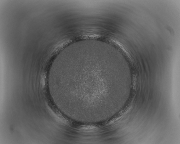 X0000111190451200907081259