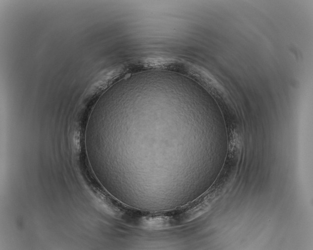 X0000111190452200907081259