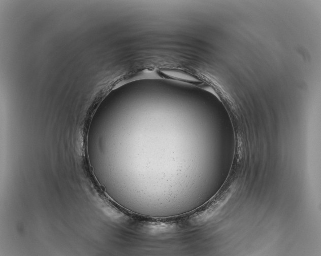 X0000111190453200907081259