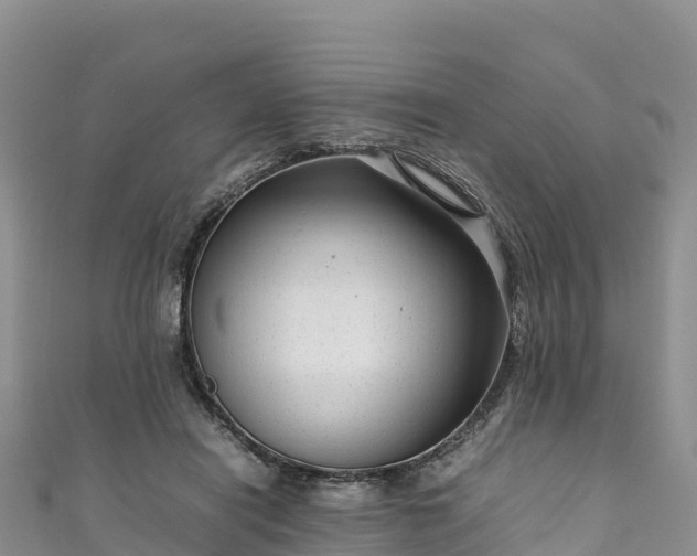 X0000111190454200907081259