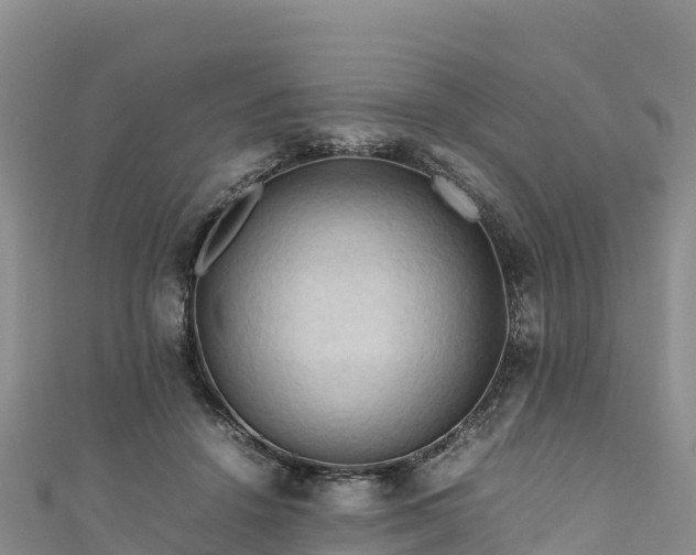 X0000111190456200907081259