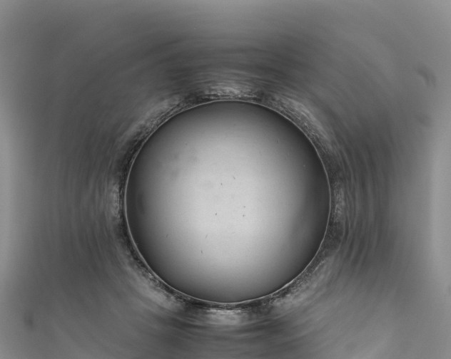 X0000111190457200907081259