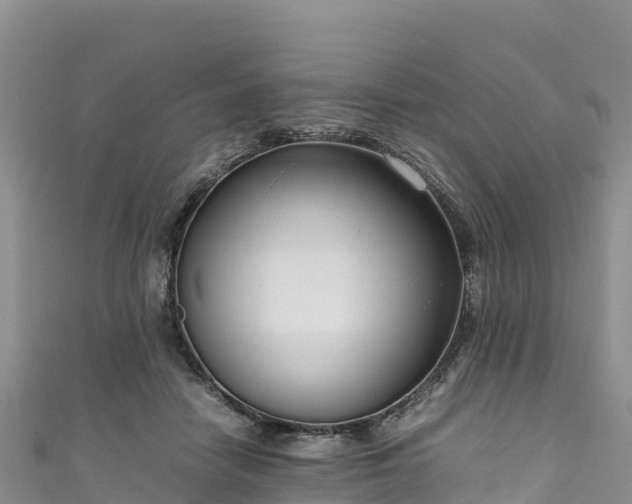 X0000111190458200907081259