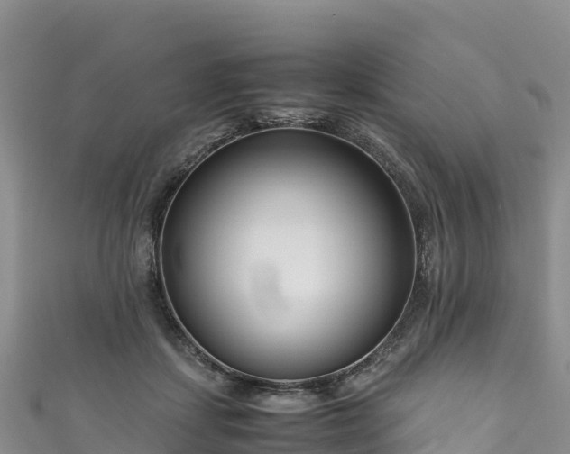 X0000111190459200907081259