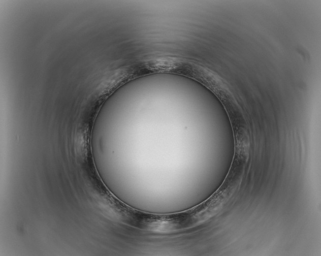 X0000111190460200907081259