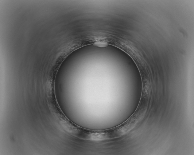 X0000111190461200907081259