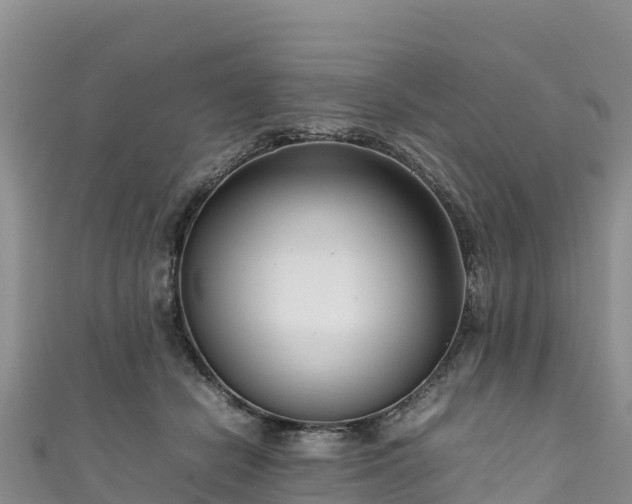 X0000111190462200907081259