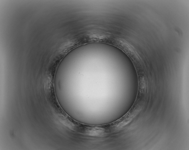 X0000111190463200907081259