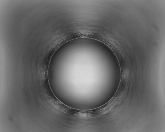 X0000111190464200907081259