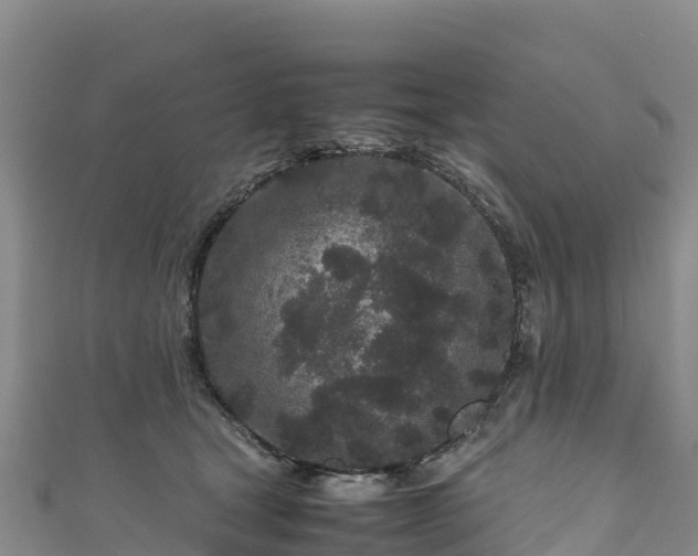 X0000111190465200907081259