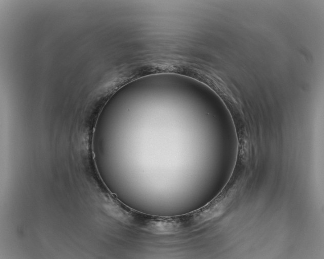 X0000111190466200907081259