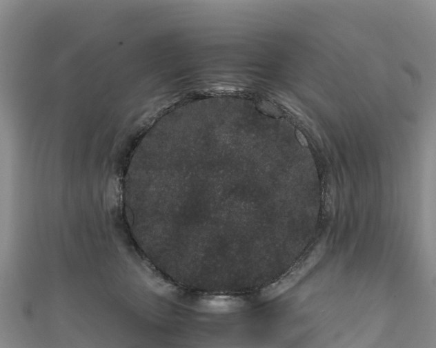 X0000111190467200907081259