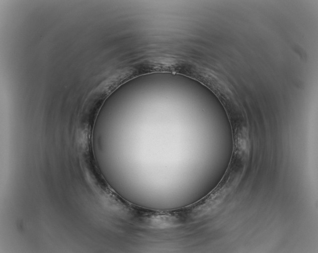 X0000111190468200907081259