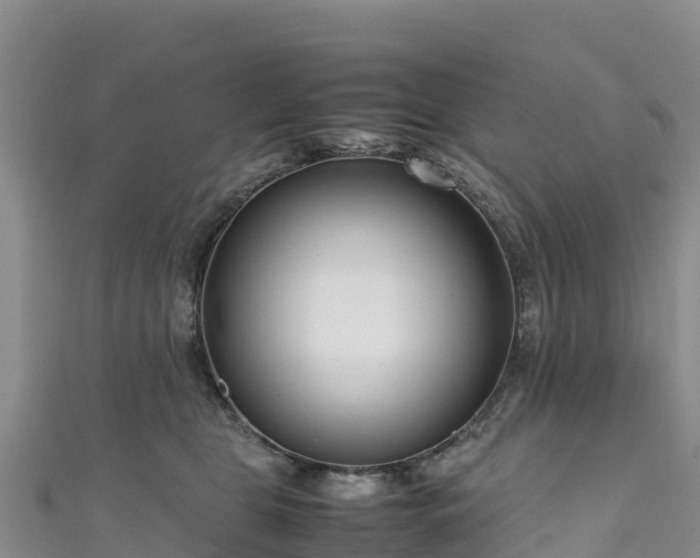 X0000111190469200907081259