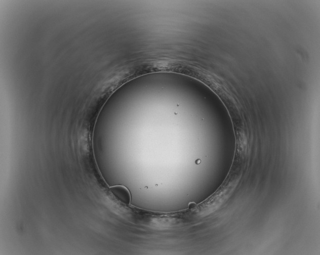 X0000111190470200907081259