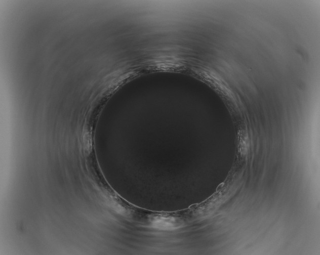 X0000111190471200907081259