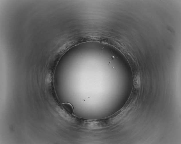 X0000111190472200907081259